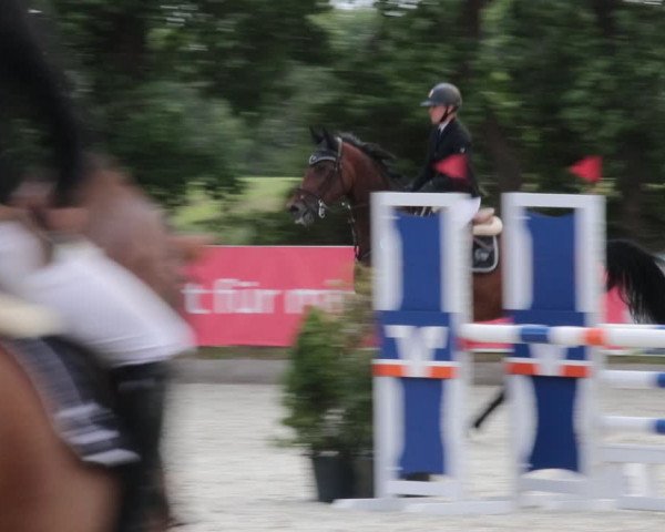 Reitturnier Elmlohe 2021