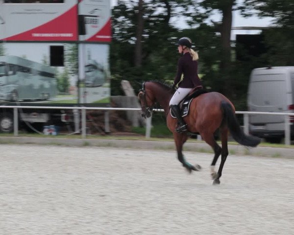 Reitturnier Elmlohe 2021