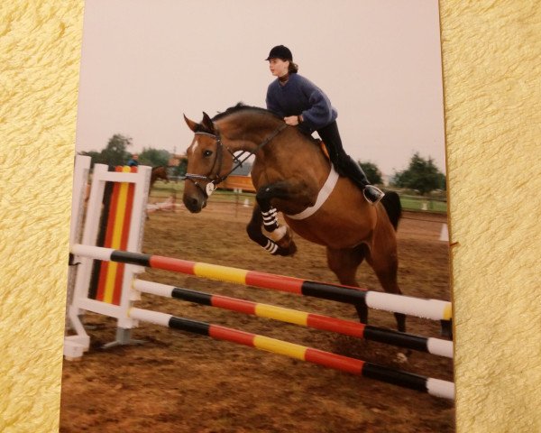 broodmare Tila 2 (Mecklenburg, 1982, from Tibet)