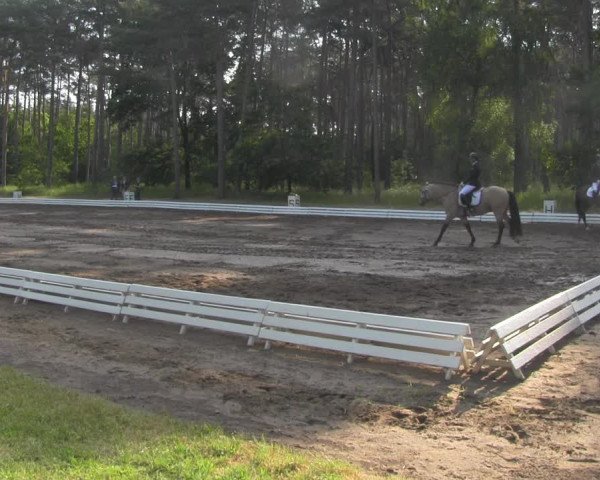 Reitturnier Wörmlitz 2021