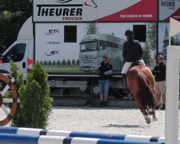 Reitturnier Elmlohe 2021