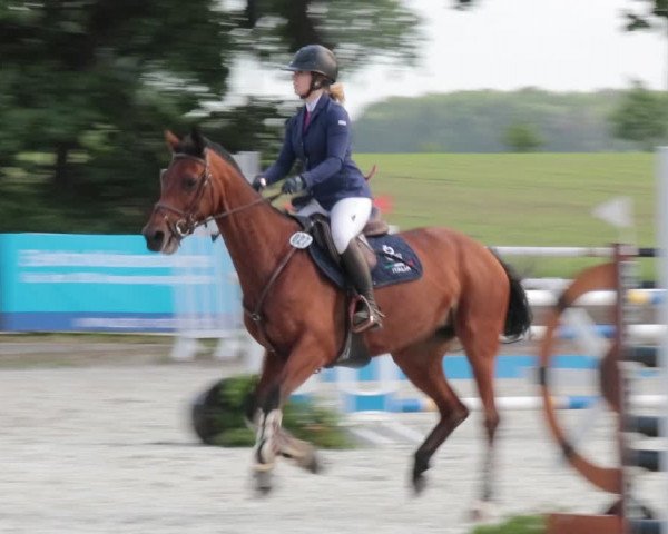 Reitturnier Elmlohe 2021