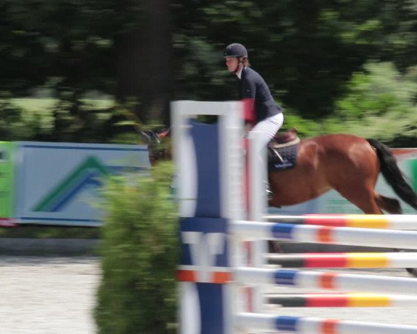 Reitturnier Elmlohe 2021