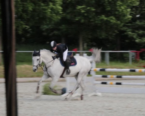 Reitturnier Elmlohe 2021