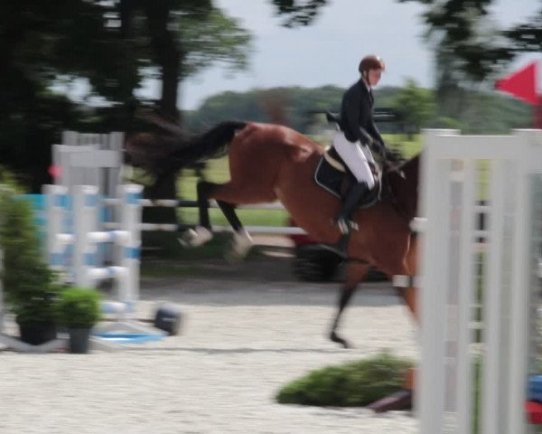 Reitturnier Elmlohe 2021