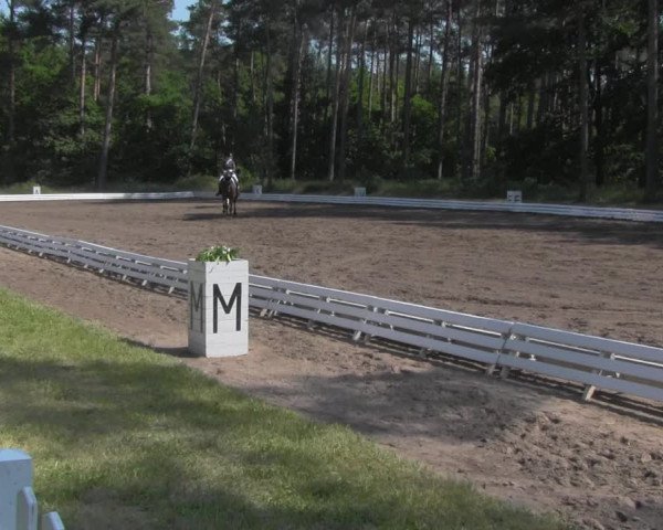 Reitturnier Wörmlitz 2021