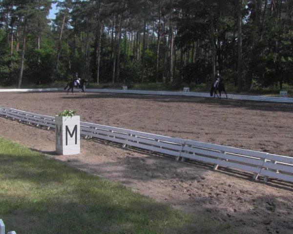 Equestrian Show Wörmlitz 2021