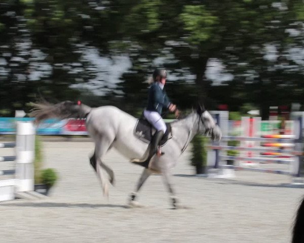 Reitturnier Elmlohe 2021