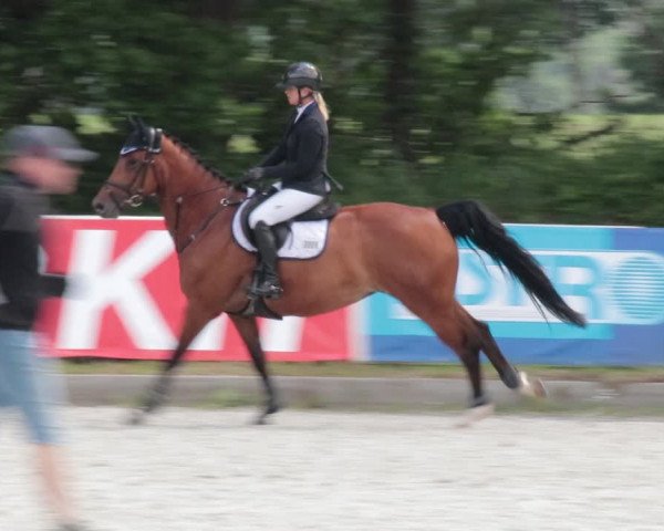 Reitturnier Elmlohe 2021