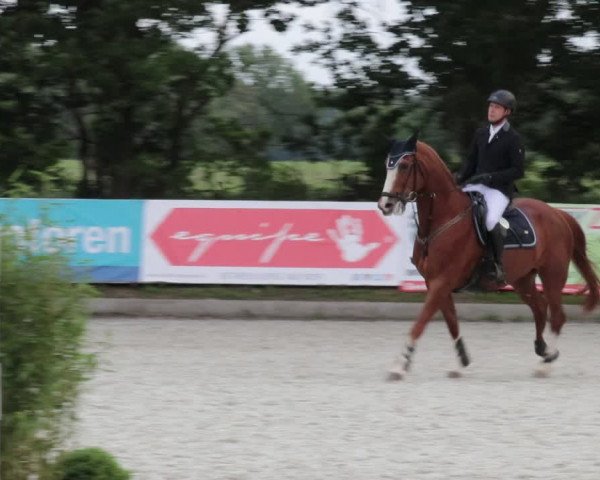 Reitturnier Elmlohe 2021
