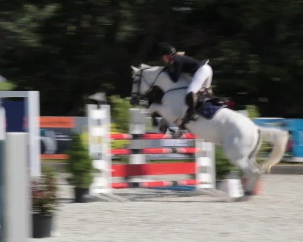 Reitturnier Elmlohe 2021