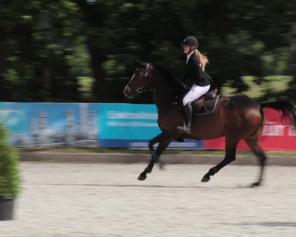Reitturnier Elmlohe 2021