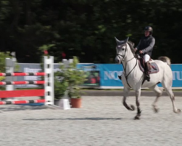 Reitturnier Elmlohe 2021