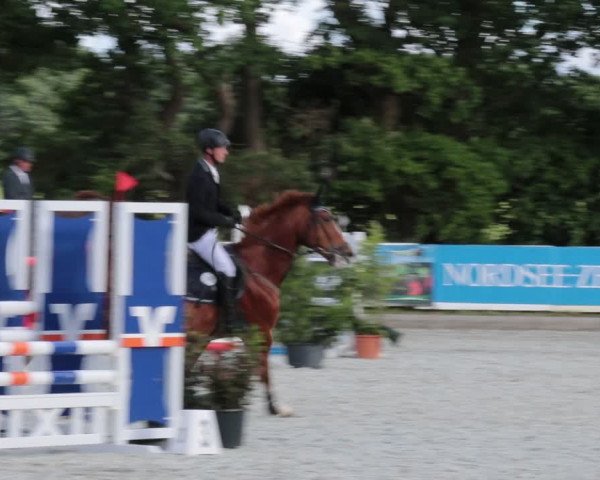 Reitturnier Elmlohe 2021