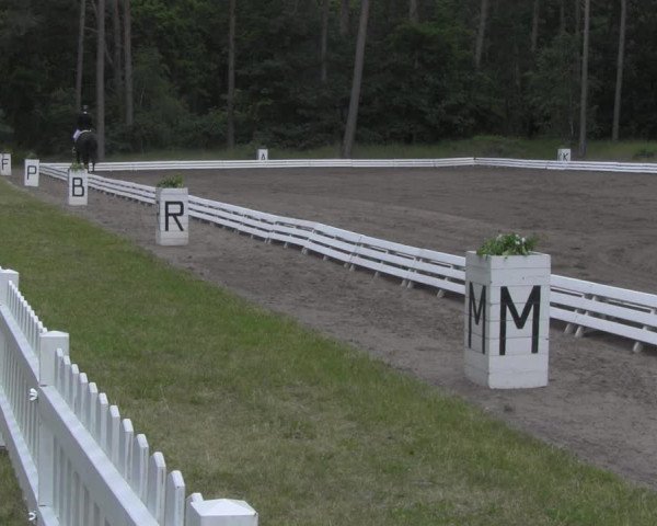 Reitturnier Wörmlitz 2021