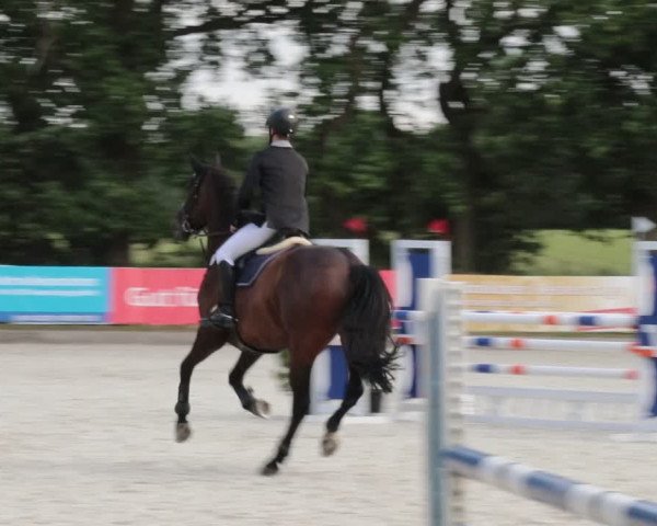 Reitturnier Elmlohe 2021