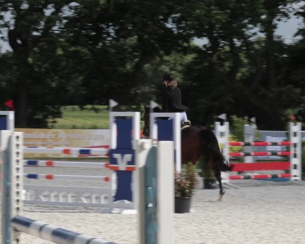 Reitturnier Elmlohe 2021