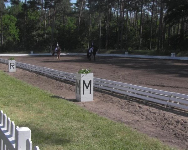 Reitturnier Wörmlitz 2021