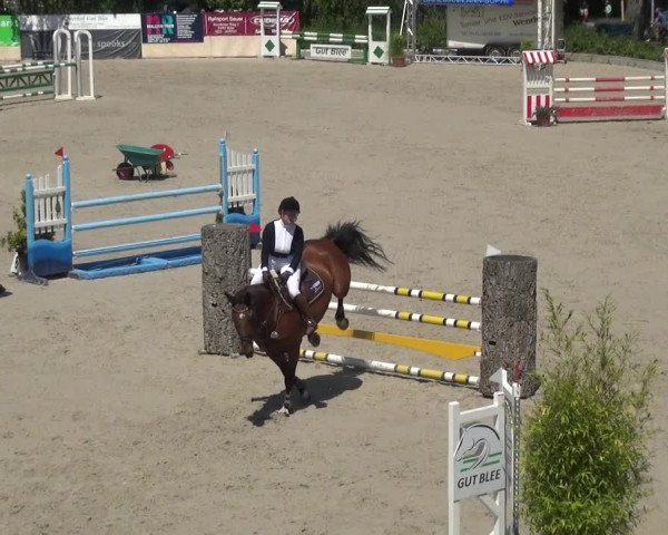 Reitturnier Monheim - Gut Blee 2021