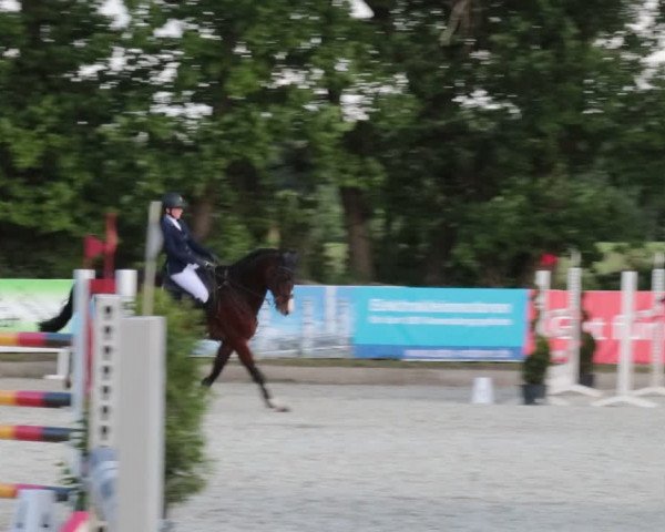 Reitturnier Elmlohe 2021