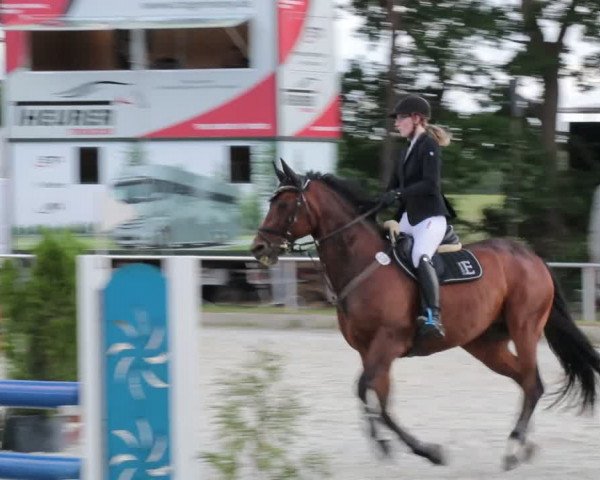 Reitturnier Elmlohe 2021