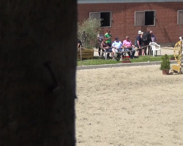 Reitturnier Monheim - Gut Blee 2021