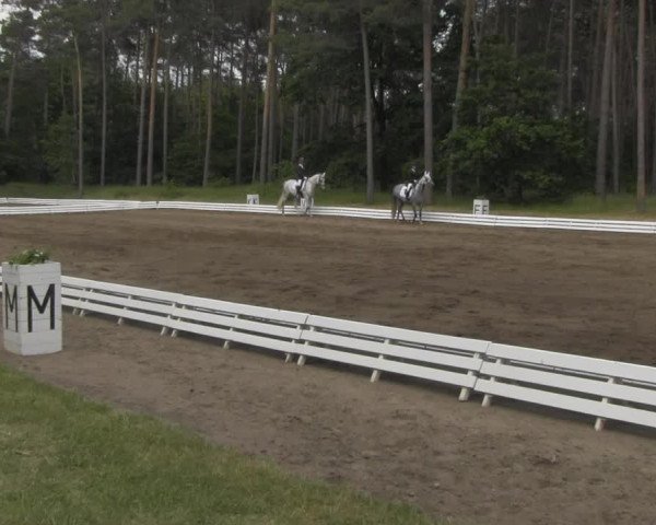 Reitturnier Wörmlitz 2021
