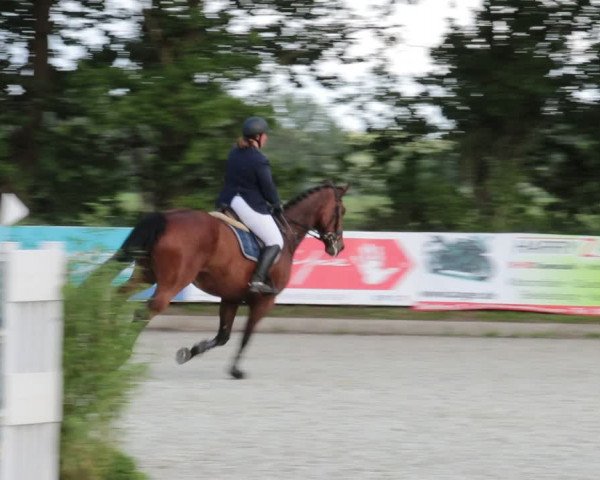 Reitturnier Elmlohe 2021