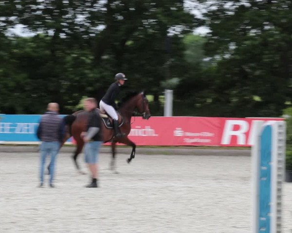 Reitturnier Elmlohe 2021
