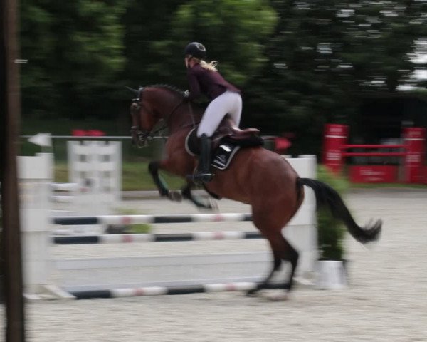 Reitturnier Elmlohe 2021