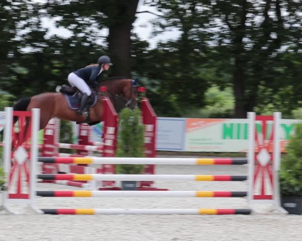 Reitturnier Elmlohe 2021