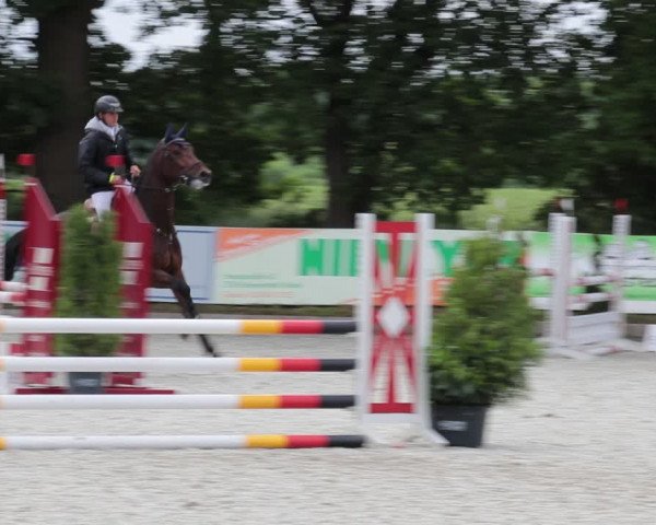 Reitturnier Elmlohe 2021
