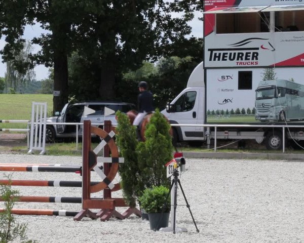 Reitturnier Elmlohe 2021
