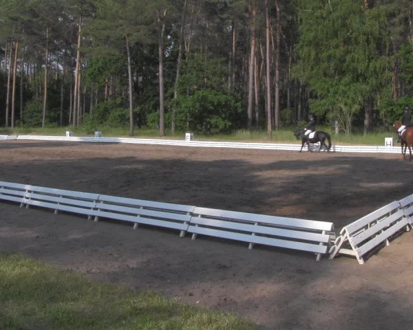 Reitturnier Wörmlitz 2021