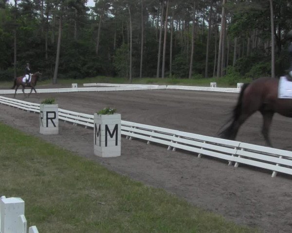 Reitturnier Wörmlitz 2021