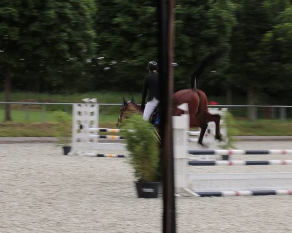 Reitturnier Elmlohe 2021