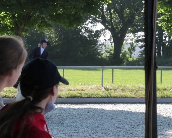 Reitturnier Elmlohe 2021