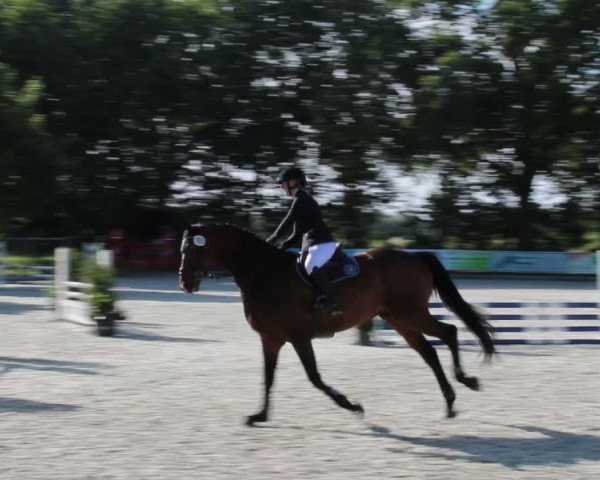 Reitturnier Elmlohe 2021