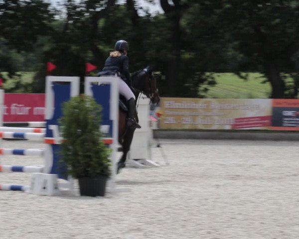 Reitturnier Elmlohe 2021