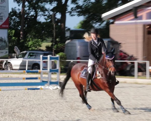 Reitturnier Elmlohe 2021