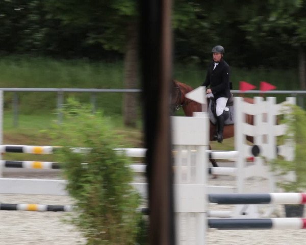 Reitturnier Elmlohe 2021