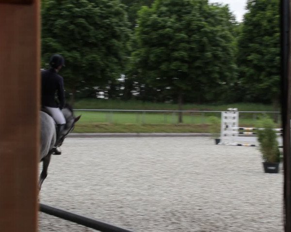 Reitturnier Elmlohe 2021