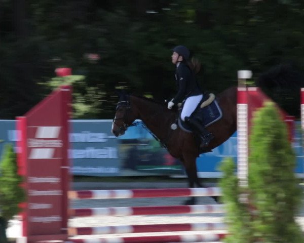 Reitturnier Elmlohe 2021