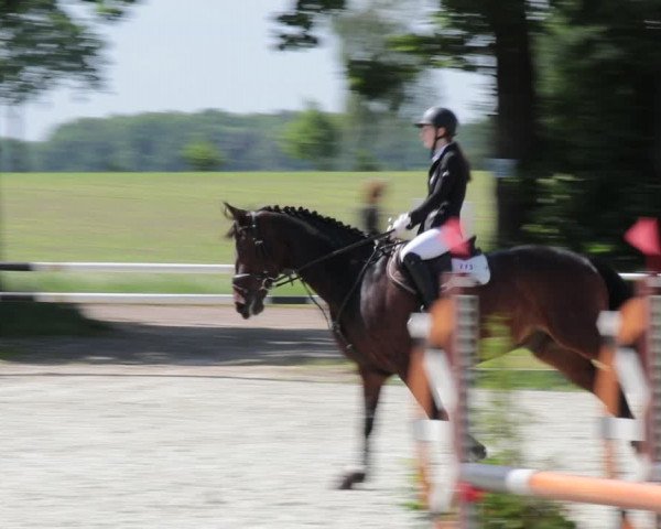 Reitturnier Elmlohe 2021