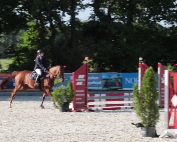 Reitturnier Elmlohe 2021
