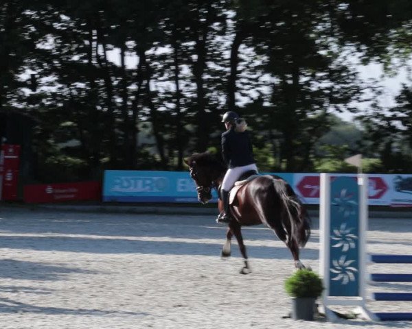 Reitturnier Elmlohe 2021