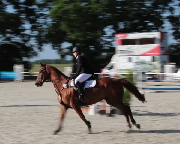 Reitturnier Elmlohe 2021