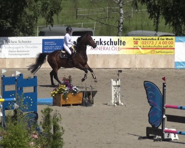Reitturnier Monheim - Gut Blee 2021