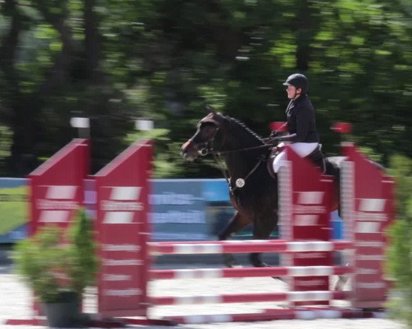 Reitturnier Elmlohe 2021