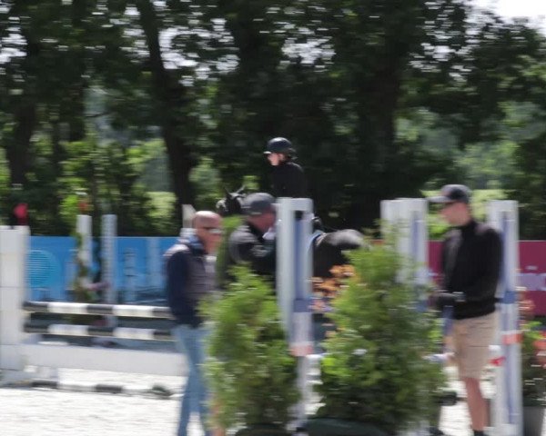 Reitturnier Elmlohe 2021